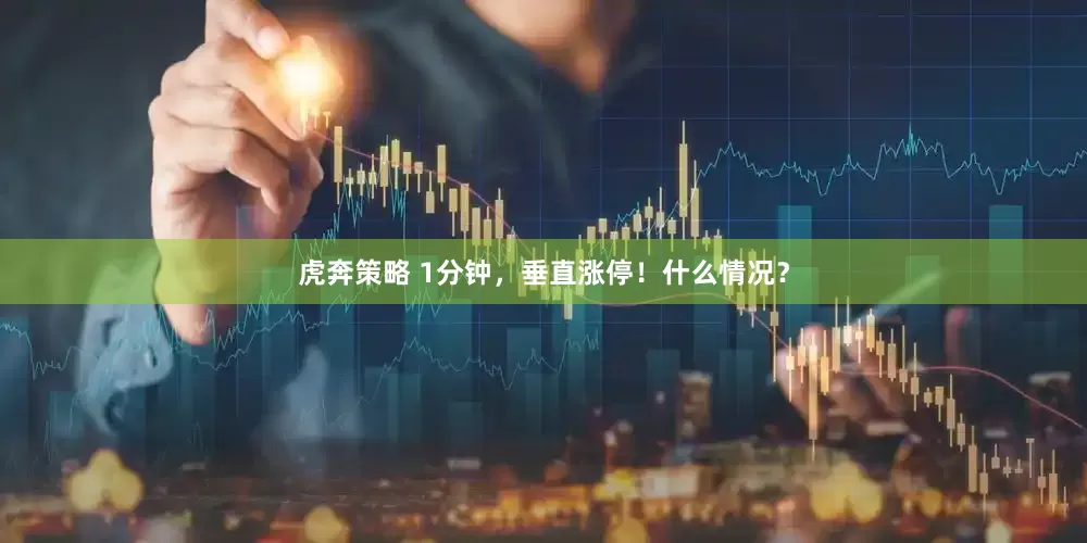 虎奔策略 1分钟，垂直涨停！什么情况？