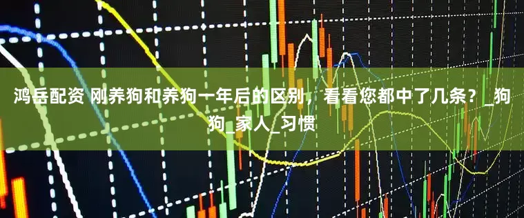 鸿岳配资 刚养狗和养狗一年后的区别，看看您都中了几条？_狗狗_家人_习惯