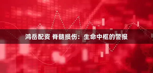 鸿岳配资 脊髓损伤：生命中枢的警报