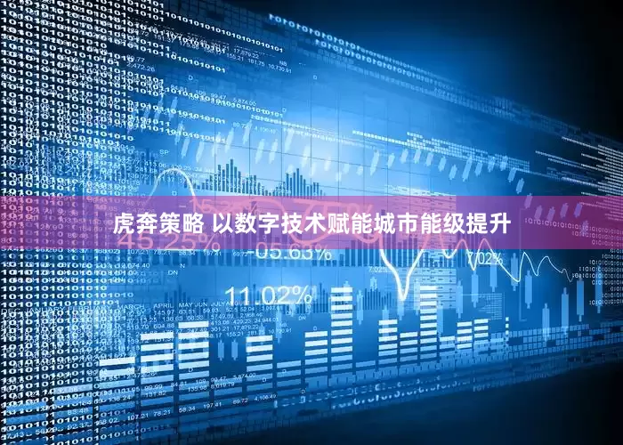 虎奔策略 以数字技术赋能城市能级提升
