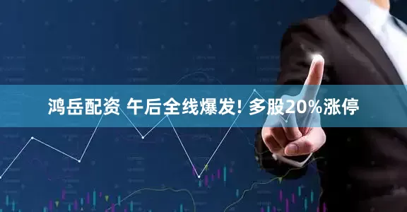 鸿岳配资 午后全线爆发! 多股20%涨停